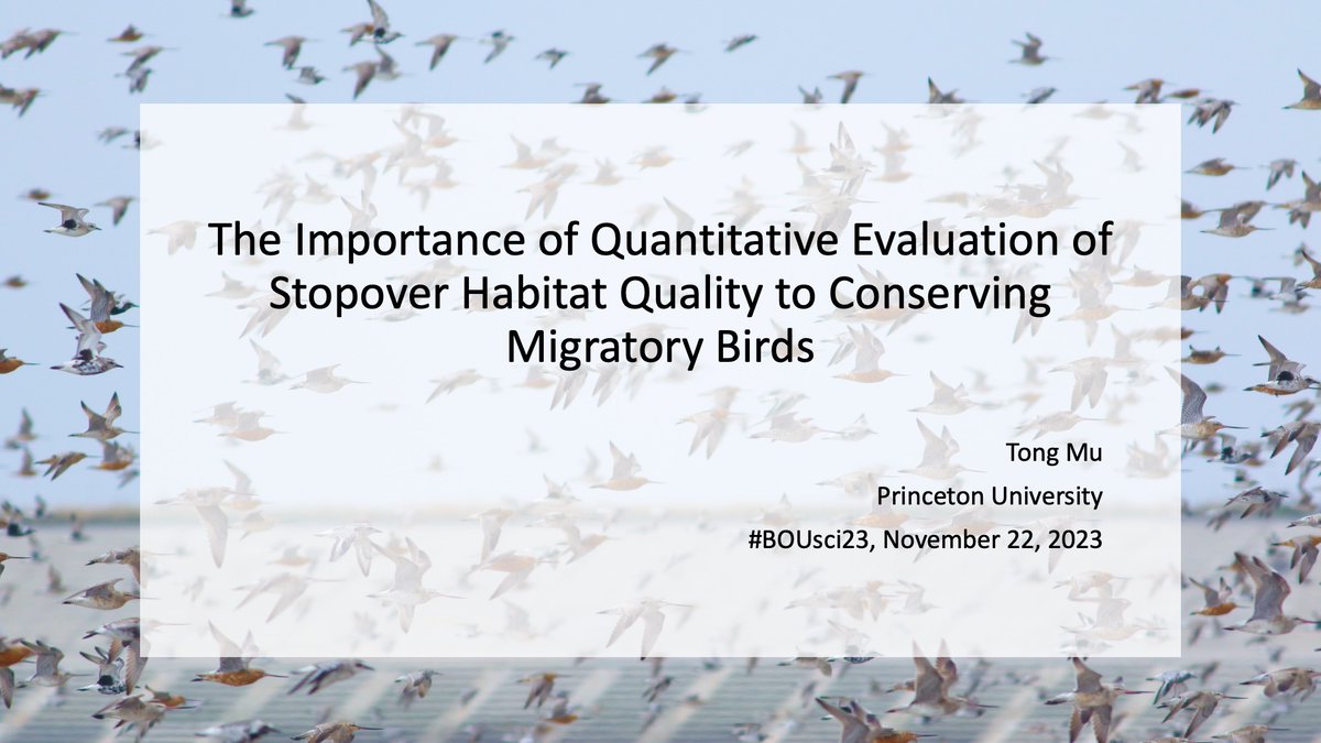 TongMu_17's tweet photo. 1/6 #BOUsci23 #SESH9
Land use change (#habitat_loss &amp; degradation) is a major contributor to migratory bird declines worldwide. However, quantifying the effect of habitat changes on local &amp; global populations is challenging in multiple ways.
Below is a framework to address it https://t.co/qxrJzRlJbE