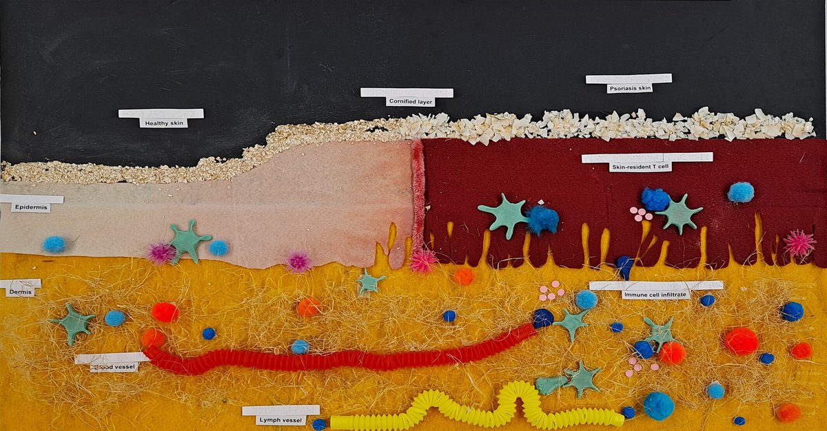 ICB - the journal (@immunolcellbiol) on Twitter photo When tactile art meets science! Crafting three-dimensional exhibits can enhance scientific communication with the public, including the vision impaired community bit.ly/3uk1oFu
<a href="/tony_purcell8/">Tony Purcell</a> <a href="/MonashBDI/">Monash Biomedicine Discovery Institute</a> When tactile art meets science! Crafting three-dimensional exhibits can enhance scientific communication with the public, including the vision impaired community bit.ly/3uk1oFu
<a href="/tony_purcell8/">Tony Purcell</a> <a href="/MonashBDI/">Monash Biomedicine Discovery Institute</a>