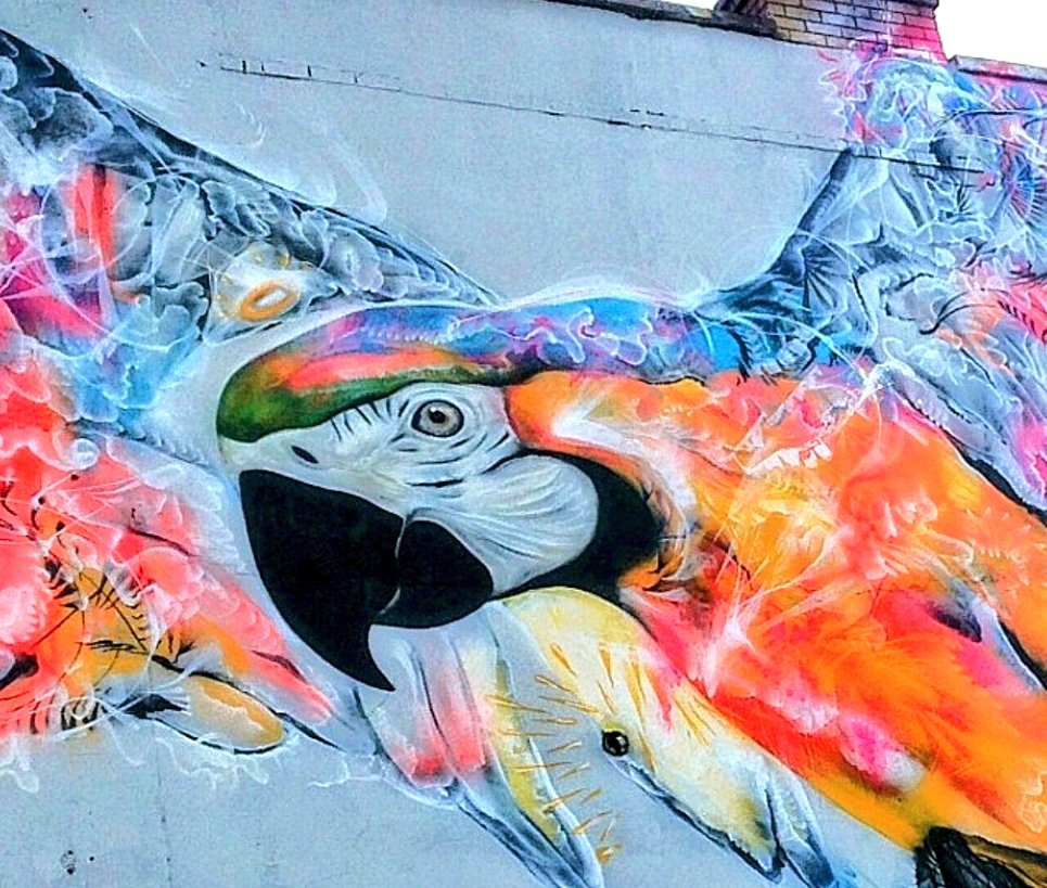 Bristolstreetat's tweet image. Upfest Bristol 2015 by L7M/L7Matrix, by aresol.
A beautiful Mural with vibrant colour&apos;s 🦅💙💗🧡
#mural #L7Matrix #zL7M #BRISTOLSTREETART #upfest2015 #colourful #mural #Spreadyourwings