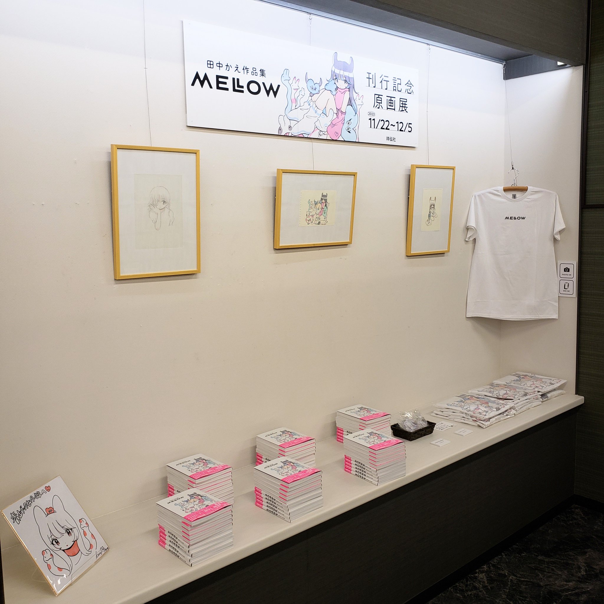 田中かえ　原画 サイン入り 額装済 イラストレーター Amazon.co.jp: 田中かえ 原画 サイン入り 額装済