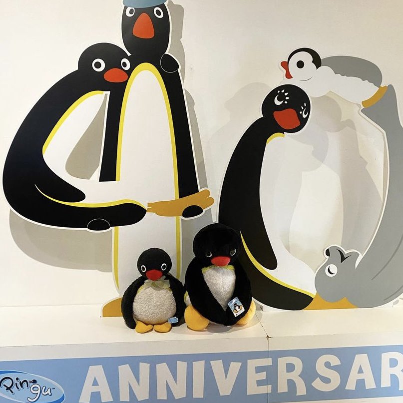 pingmyping's tweet photo. 🐧😕📸 https://t.co/ctVYmJo3RD