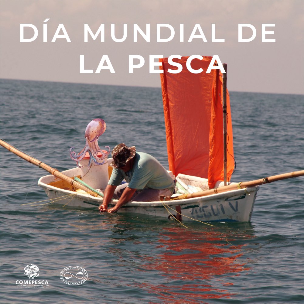 Hoy, #DíaMundialDeLaPesca, reconocemos la importancia de esta actividad para la alimentación global. Destaquemos la necesidad de prácticas pesqueras sostenibles y la conservación de nuestros océanos.