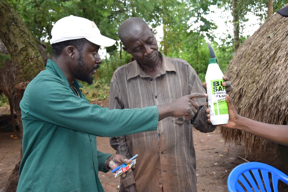BulindiZ's tweet photo. Yesterday, ⁦@BulindiZ⁩ animal research team distributed NARO elite chickens, feeds, drinkers &amp; drugs to selected farmers in Kiryandongo district. The ⁦@KopiaUganda⁩ funded project is intended to improve farm household nutrition &amp; incomes. 
⁦Photo: @bob_abor⁩ https://t.co/WmiyuiWVCV