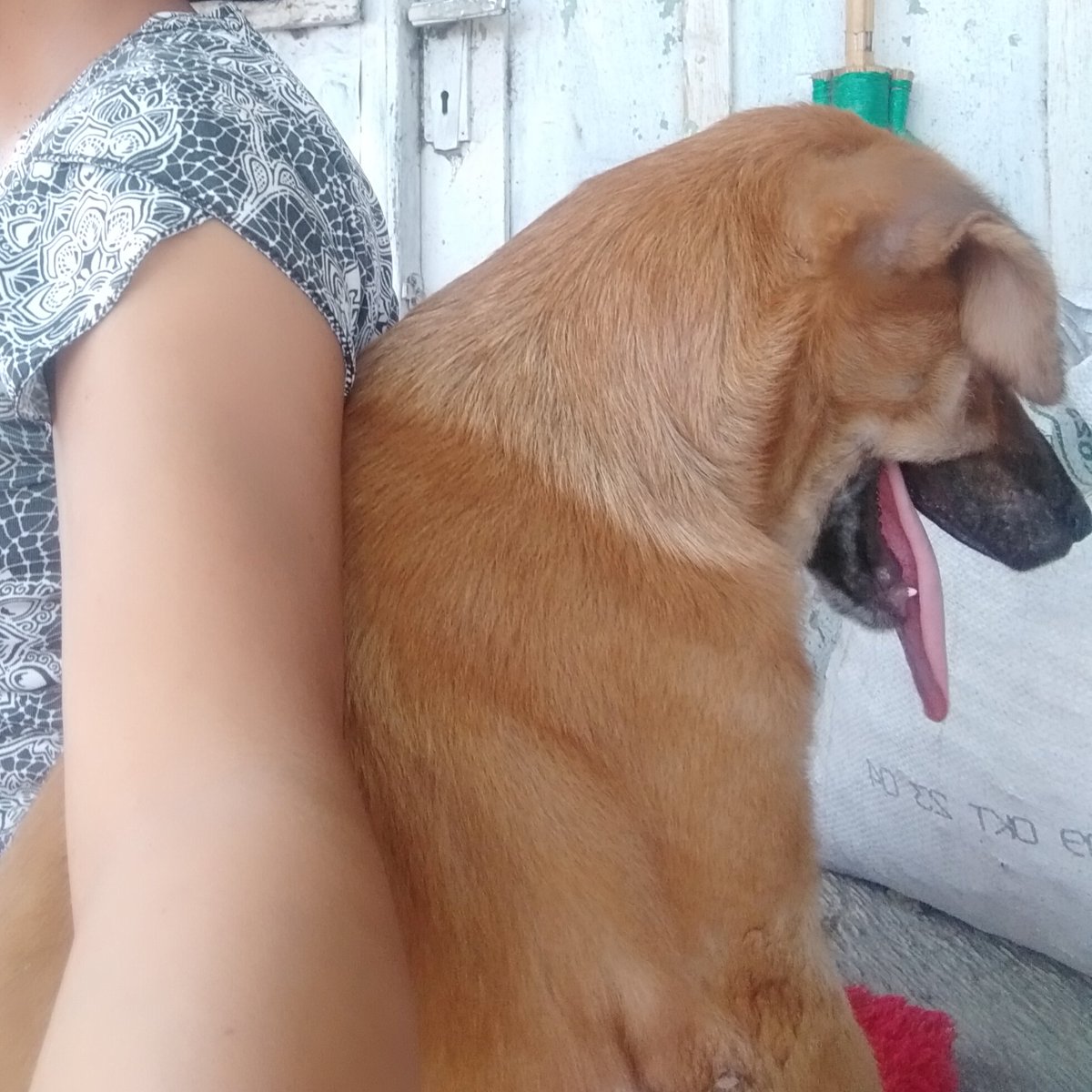 Urip lagi sumuk sumuk'e malah ono cah ngesel sel wae ket mau ... Jer njuk lendetan 🙄