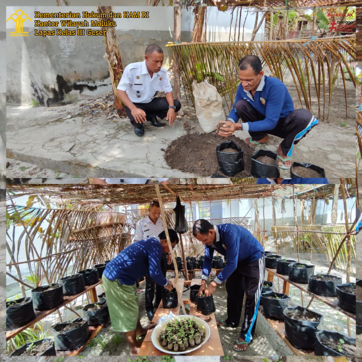 lapas3geser's tweet photo. ‘Maksimalksan Program Pembinaan, Ini Yang Dilakukan Lapas Geser’

Info Selengkapnya : 
https://t.co/cWr9TsExuU

#KemenkumhamRI
#KanwilKemenkumhamMaluku
#MarsidinSirergar
#KanwilMaluku
#KumhamManise
#DivisiPemasyarakatanMaluku
#Lapas3Geser https://t.co/rZdZqOyLav