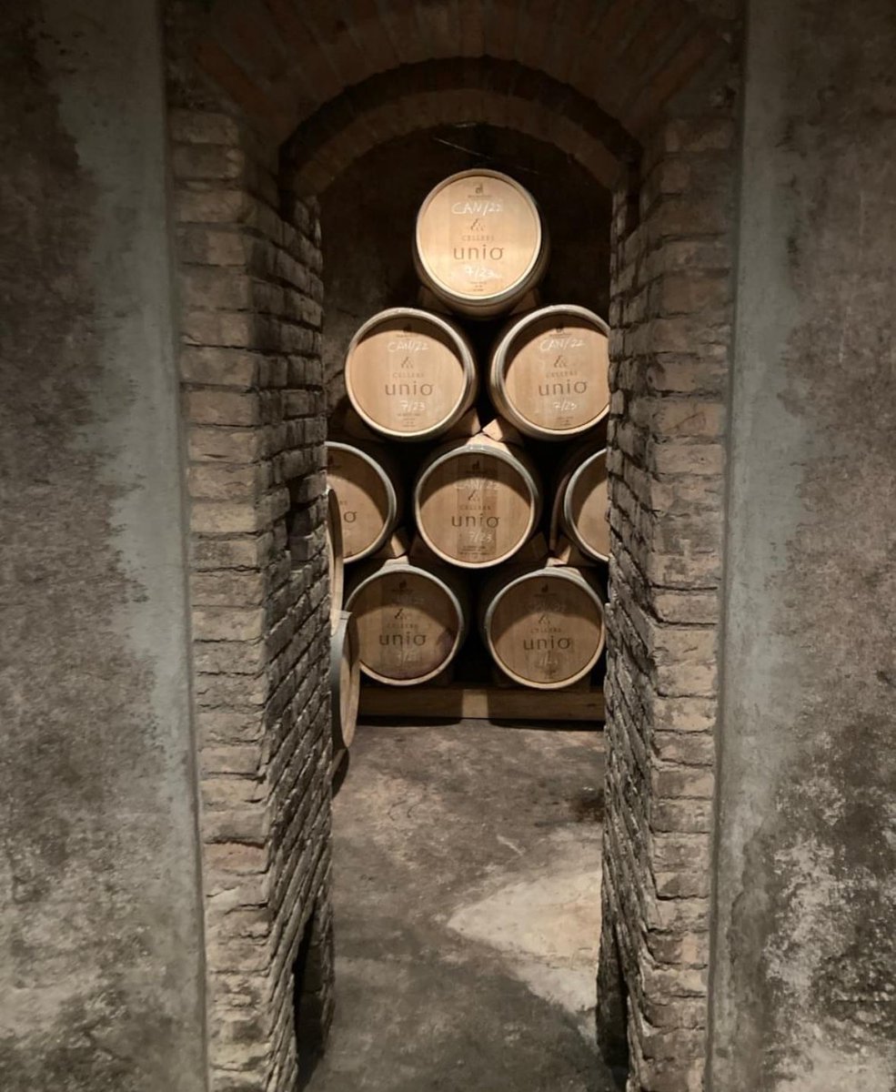 Embarking on a wine odyssey in Montsant, Catalunya! 🍇🍷 From sun-kissed vineyards to cellars steeped in tradition, every sip tells a story. Exploring the heart of winemaking magic—Montsant, where passion meets terroir. #WineAdventure #MontsantMagic #CatalunyaWines