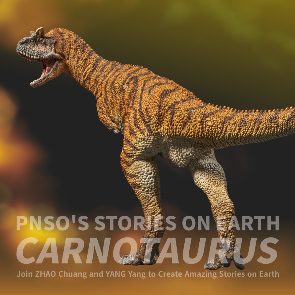 Domingo the Carnotaurus is a typical mighty predatory dinosaur. It lived during the Late Cretaceous in a place today called Argentina in South America. #pnso #dinosaurs