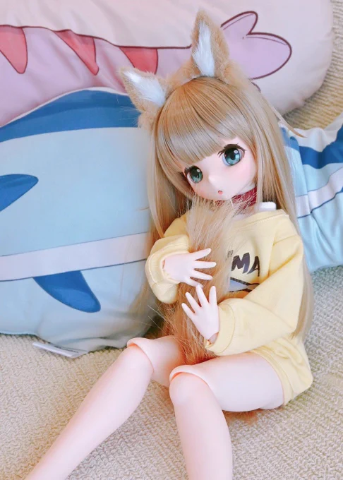ドールきなこの写真撮りました可愛い 