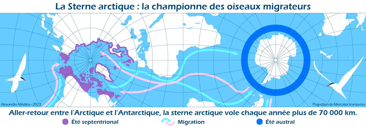 #30daymapchallenge JOUR 22 - 'Le Nord n'est pas toujours en haut' 🧭 🪽 #Cartographie #Carte #Map #Nord #Projection #LPO #Oiseaux