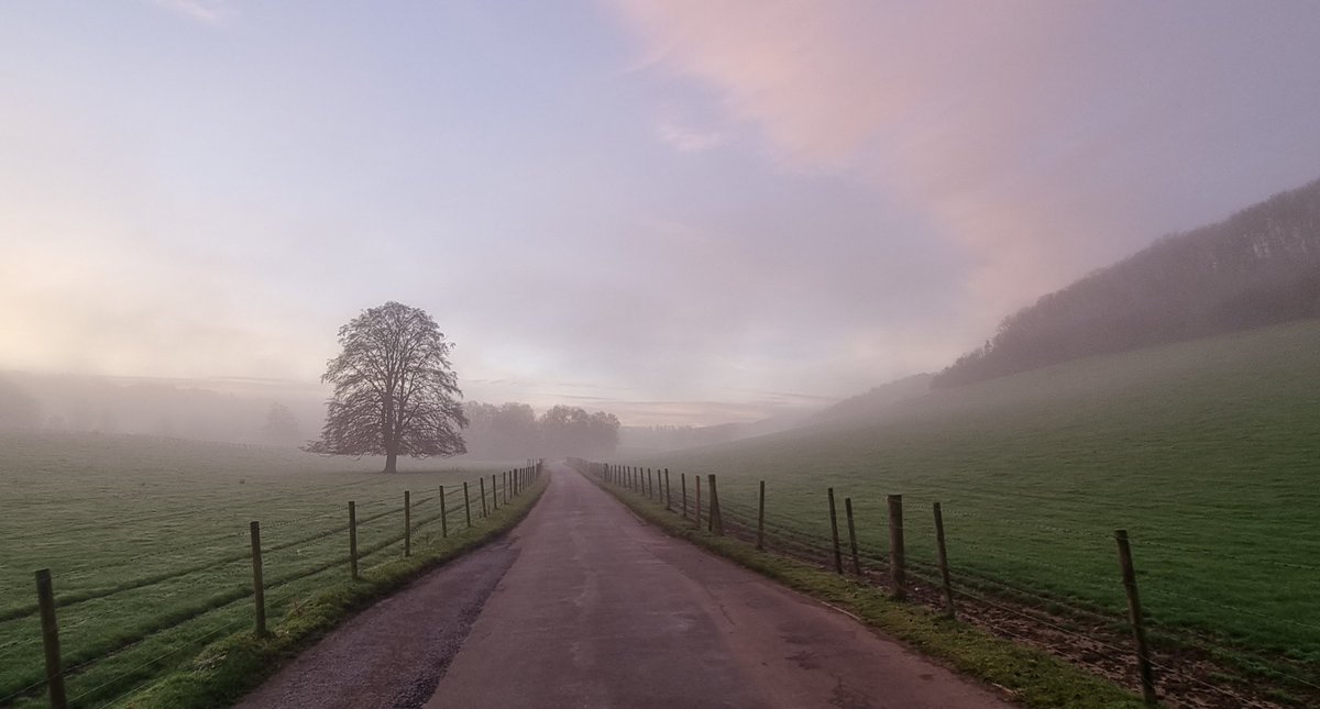 Misty morning Woldingham Surrey @SurreyHillsNL