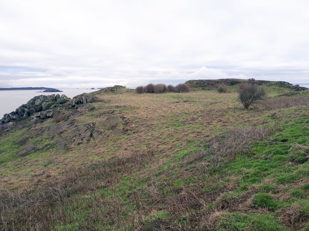 #Craigleith Perfect conditions for  seal count last wk. Not the easiest island to land. From the slopes 46 pups counted (Close to webcam count)  The shoreline is steep so it's  important not to disturb the colony. They were very chilled! Island is looking amazing! <a href="/SeabirdCentre/">Scottish Seabird Centre</a>