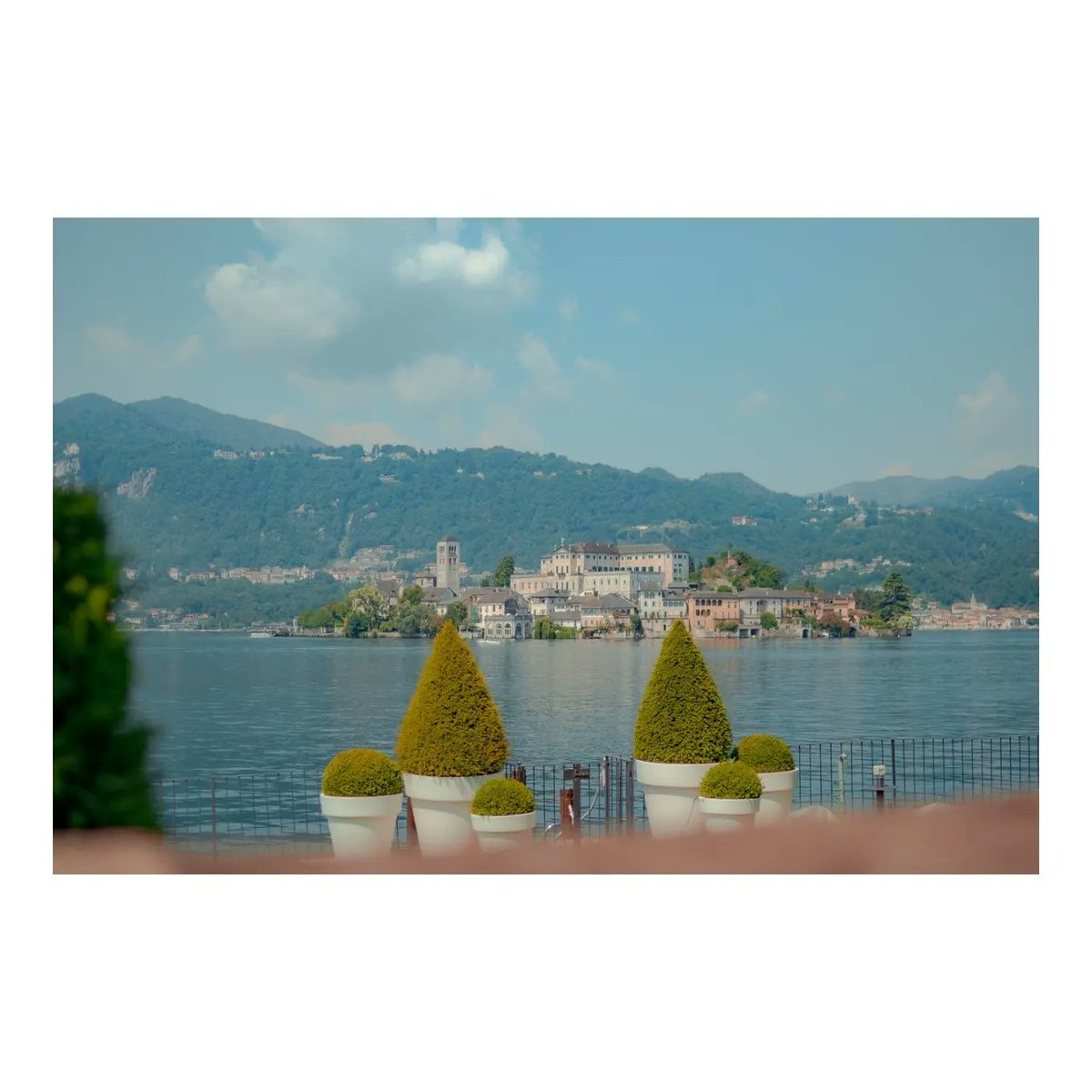 rory murphy 📸 tweet media