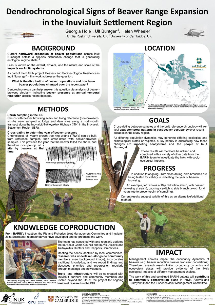 The @CINUK_ARP Annual Science Meeting starts today, where I'll be presenting my #dendrochronology work as part of the BARIN project (Beavers and Socio-ecological Resilience in Inuit Nunangat). See my poster below for an insight! #treerings