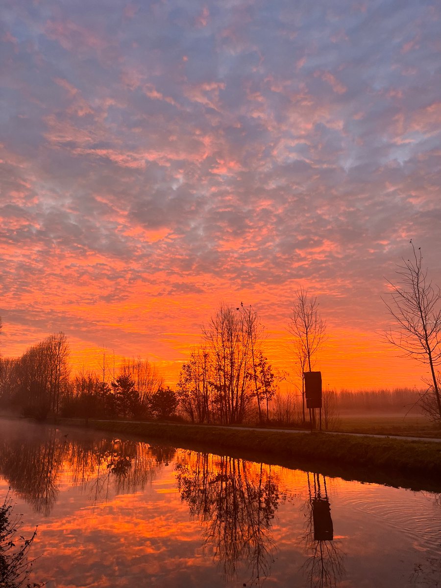 amybrgr's tweet photo. Moerbeke-Waas, 07:59 #vrtweer https://t.co/AlFNuhO5QY