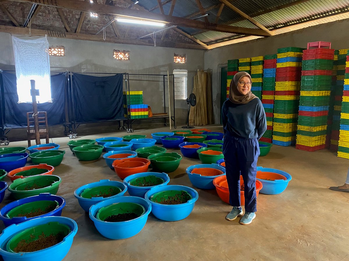 (SO)r4d programme tweet media