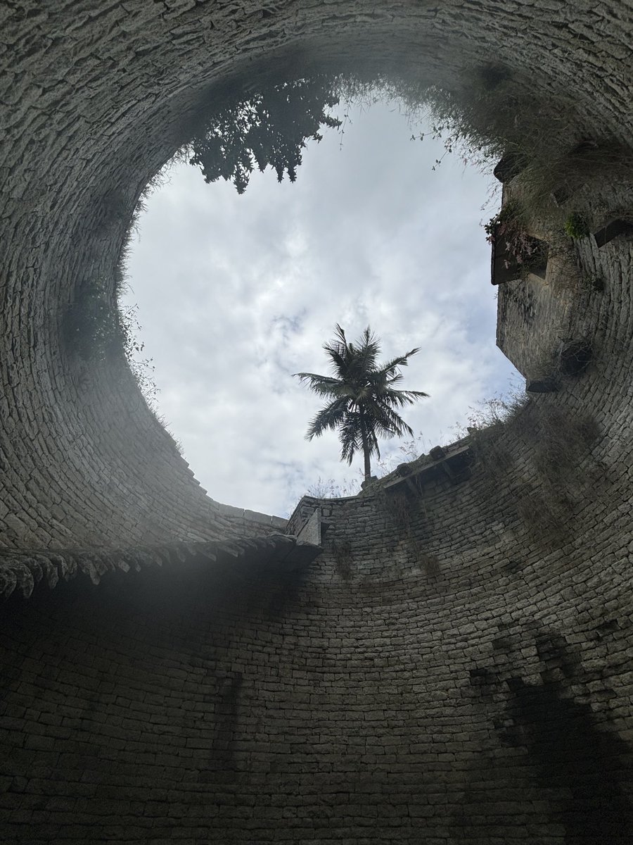 zenrainman tweet media