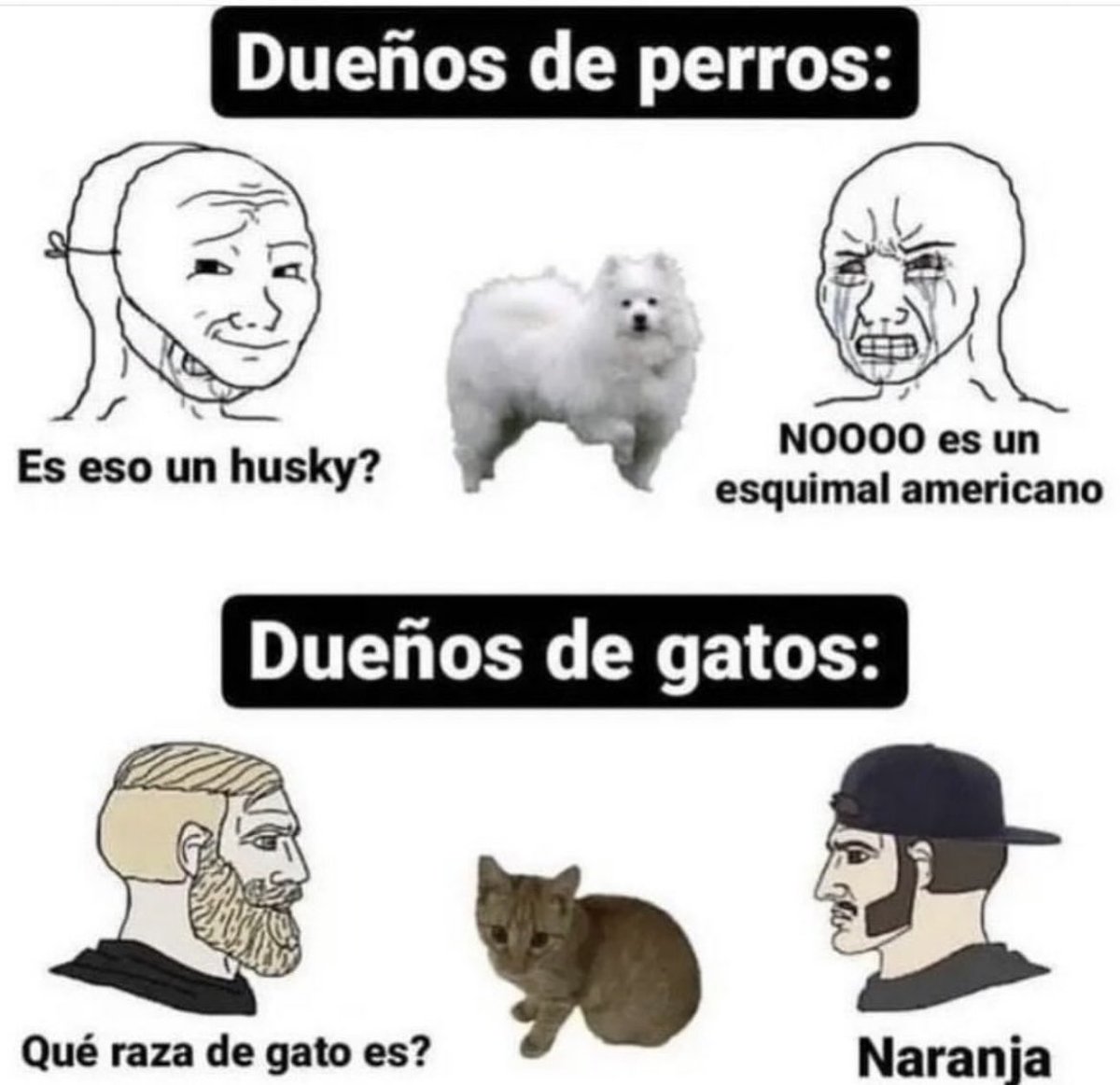 Yusef (@dios) on Twitter photo 