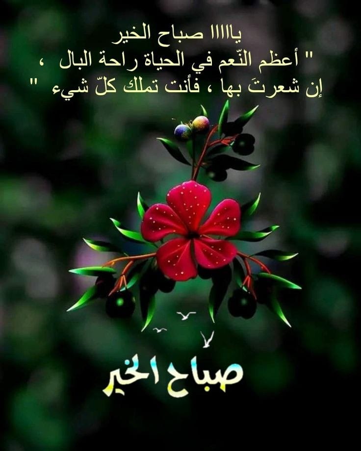 لديرتي ياناس .. لبيت النداء ..
ونظرتي في هالطبيعه. شارده

يازينها الأجواء .. ويازين الشتاء..
ويازين نسمات الصباح البارده ❤️#صباح_الاجواء_الحلوه