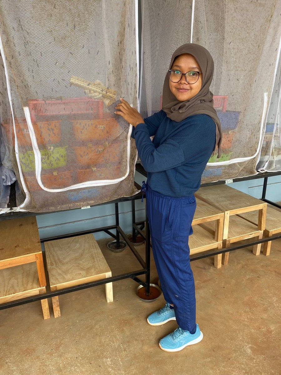 (SO)r4d programme tweet media