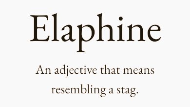 Cian McCarthy tweet media