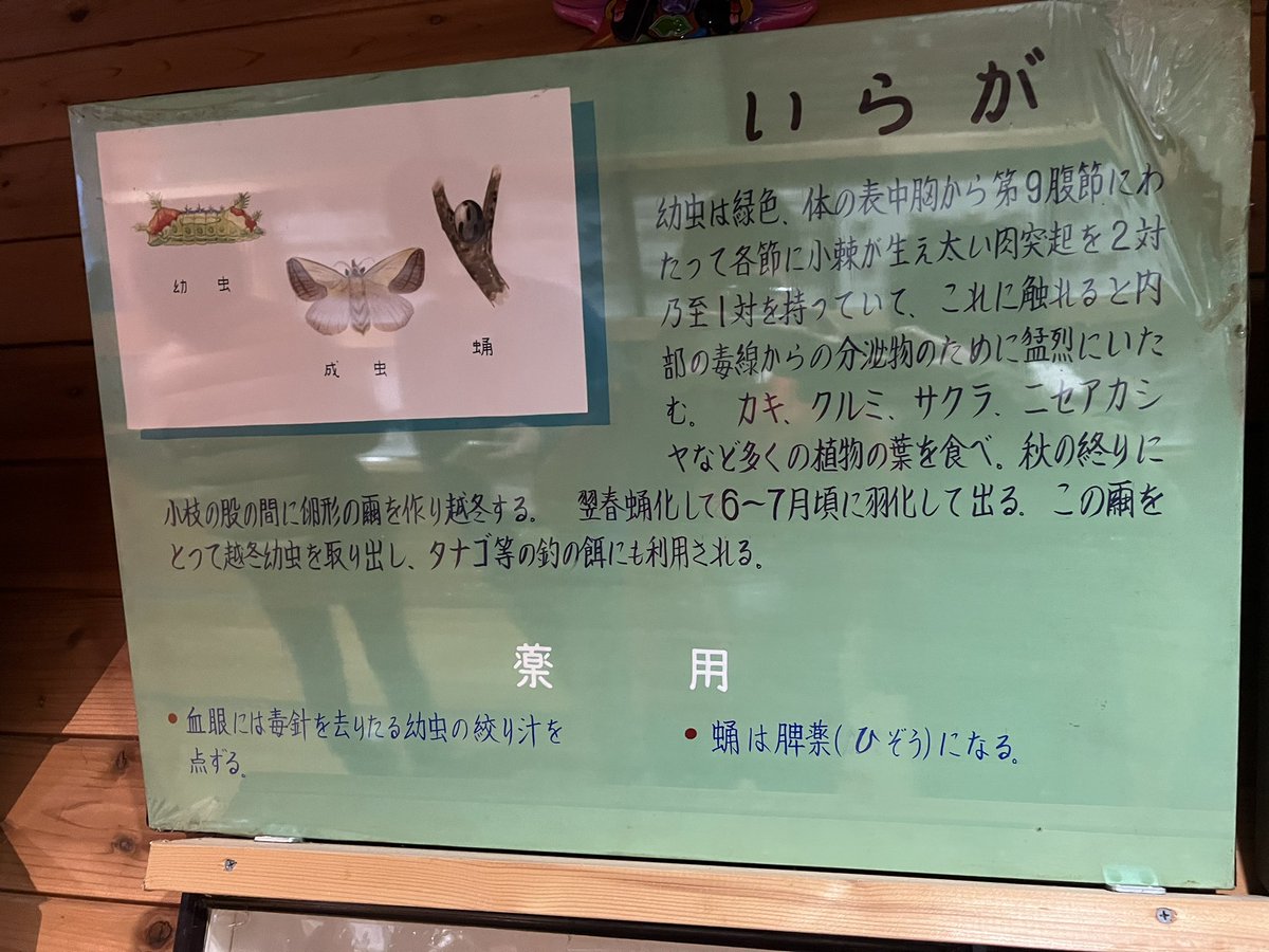 UABIrurigoki's tweet photo. これも衝撃 https://t.co/y4YPSOeGxN