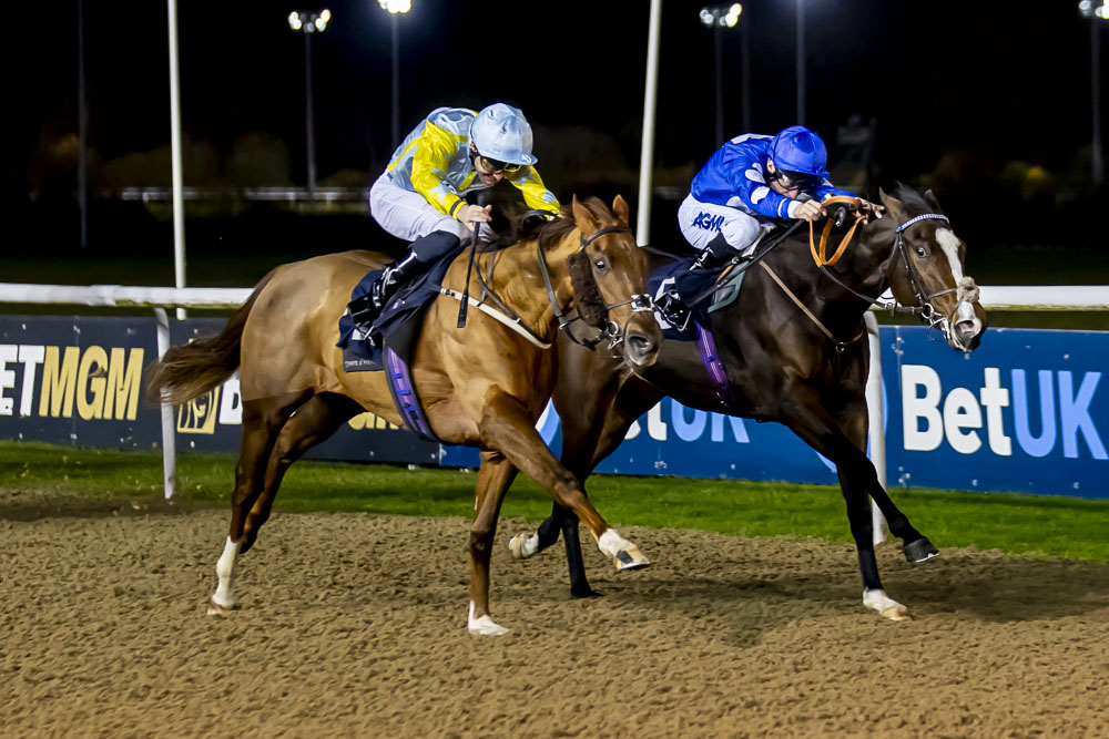 RACE 1 RESULT - Boost Your Acca At Bet MGM Nursery Handicap 🥇 Torvar Jockey: David Nolan Trainer: David O'Meara #WolverhamptonRaces