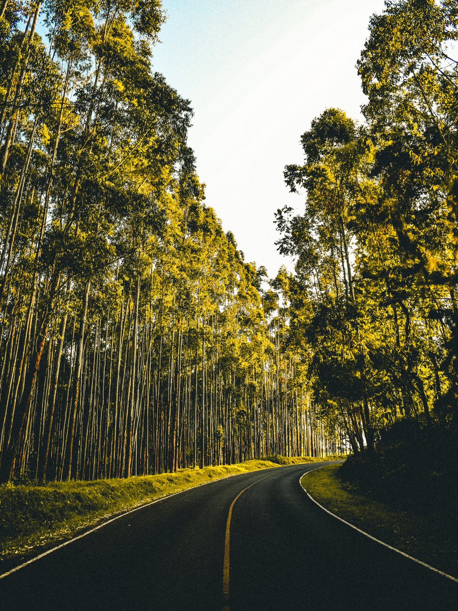 Alex Kamau tweet media