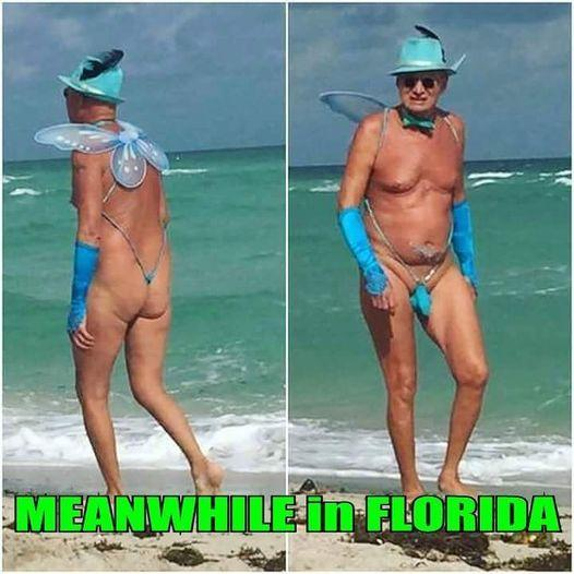 Tammy_Richard's tweet image. Friendly reminder: Every time we post something on social media about #Atheism #Antitheism #Humanism #Secularism #Transhumanism #FreeSpeech #Blasphemy #Science or #FreeThought … somewhere, an angel gets his/her/their wings!