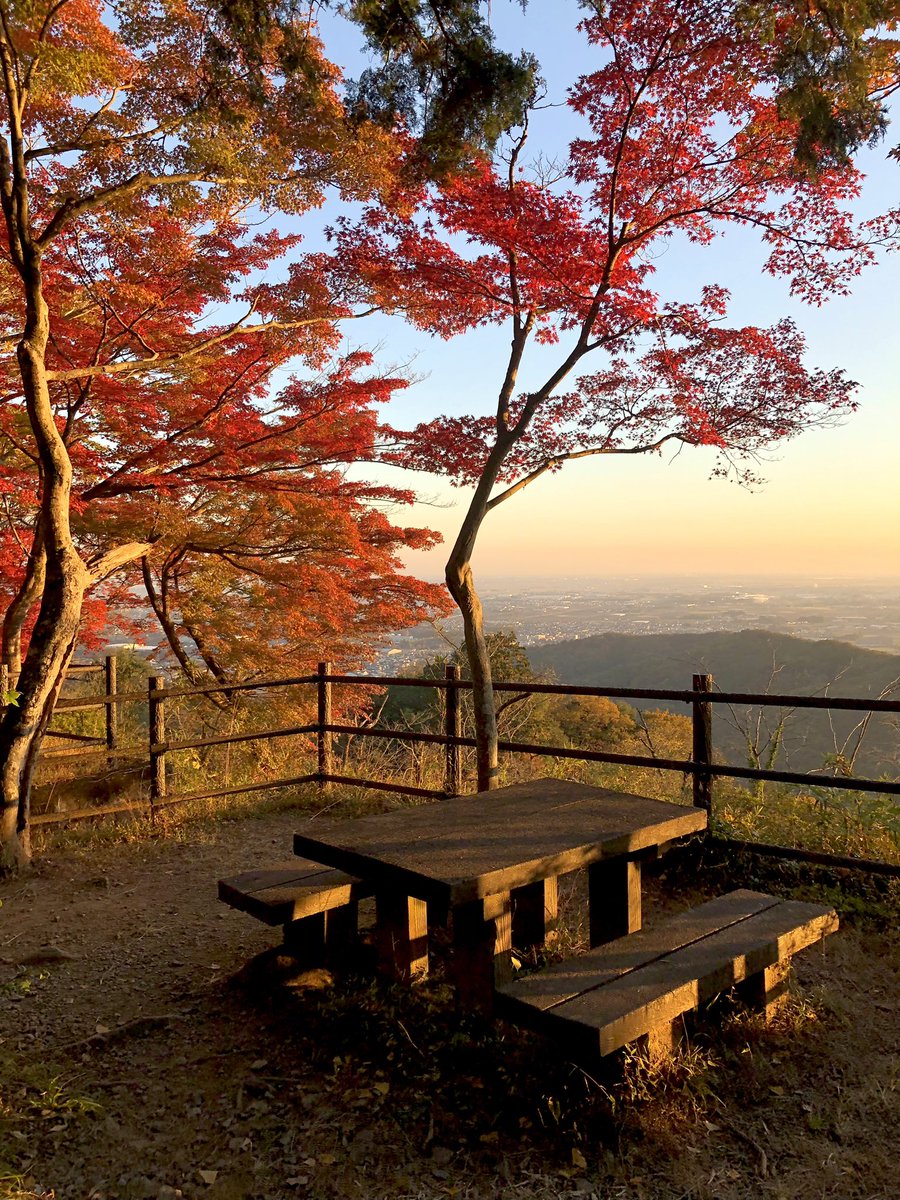 栃木県栃木市
太平山の謙信平の様子です😊
紅葉が見頃を迎えていました🍁✨