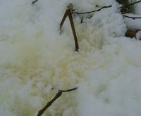 Extre_Patch's tweet image. -Las canciones populares no generan lluvia aunque se canten mal
-Los villancicos no se activarán hasta el 15 de Diciembre
-Enfriamiento del servidor en proceso ( ha costado) disfruten del frio invernal
-Tocar la nieve amarilla genera malus, habla con tu chamán de confianza