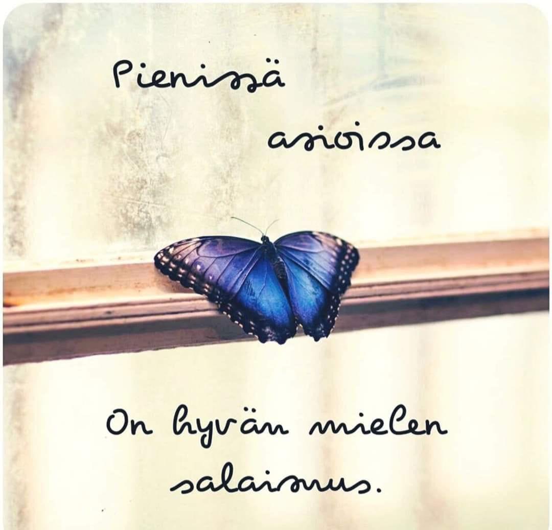 Kaj Kunnas tweet media