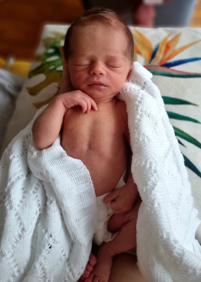 rebecca keatley 🇺🇦 tweet media