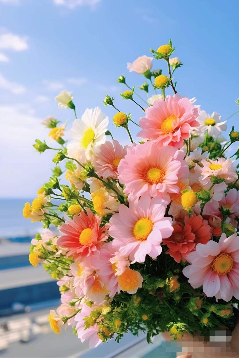 صباح التفاؤل 🌿والأمل في فرج الله القريب
🤲🩷🩵🤍