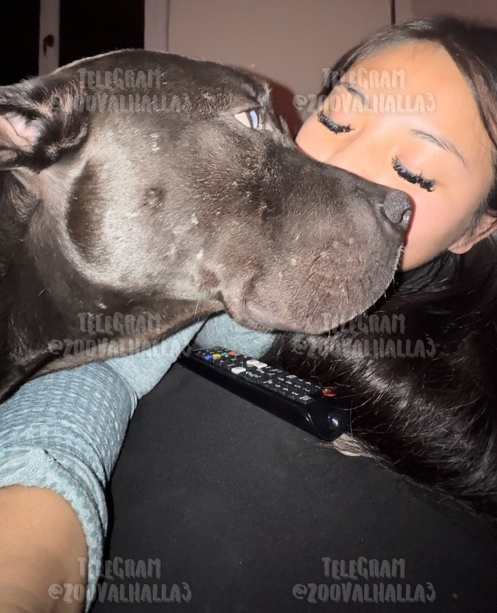 Artofzoo coco - boxechartraine.fr 