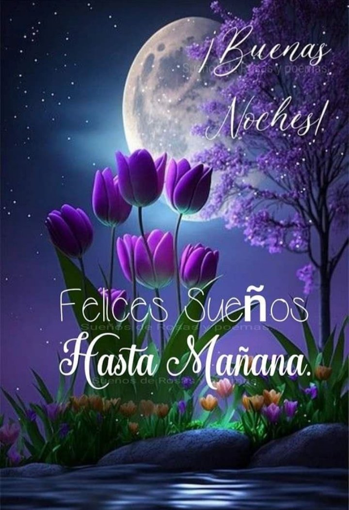 Lupe Monroy (@lupemonroy6) on Twitter photo 