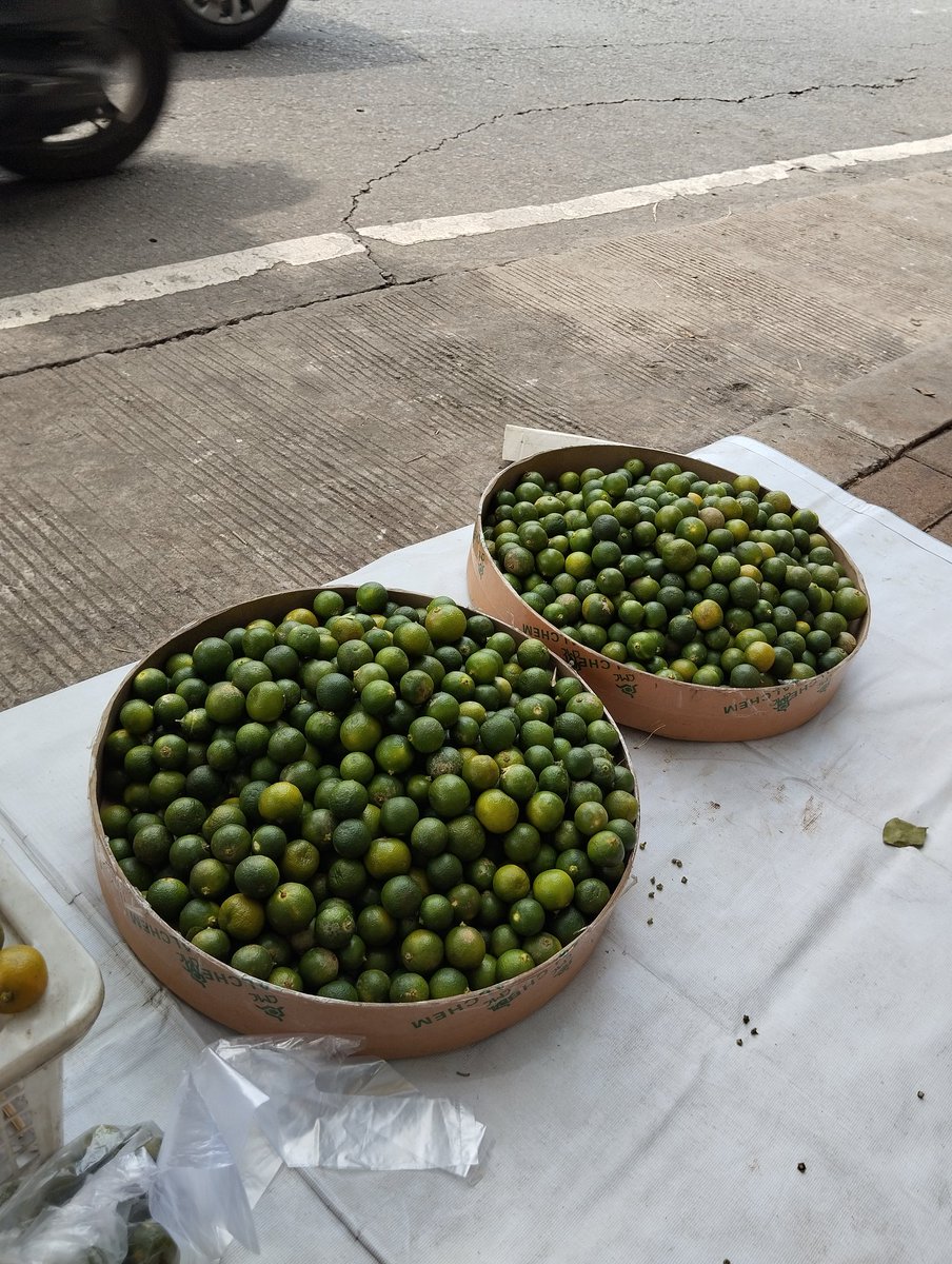 ayaharno's tweet photo. Bismillah semoga daganganku habis hari ini , #lemonCina #lemonCui #jerukkunci #jerukkasturi #jeruksonkit cc @dgLewa2011 @is_pelssy @5t3v3n_P3g3L @BuditomoDeena @_doncorleone78 @Flyingfighter27 dll https://t.co/GYLj2R29f0