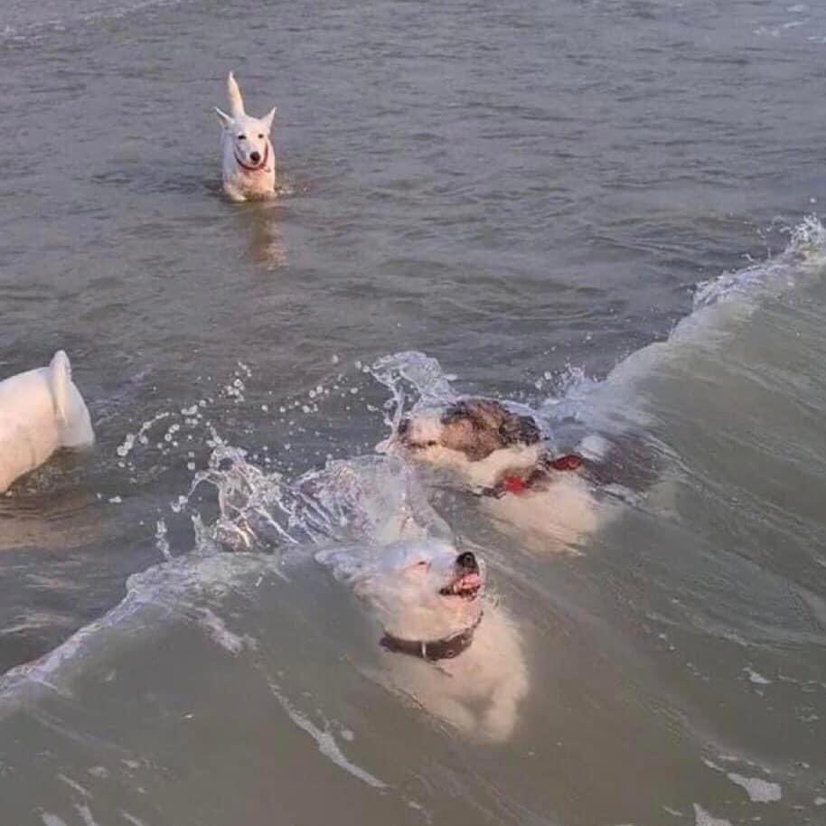 ชีวิตช่วงนี้ : จะอะไรก็มาเถอะ กุไหว