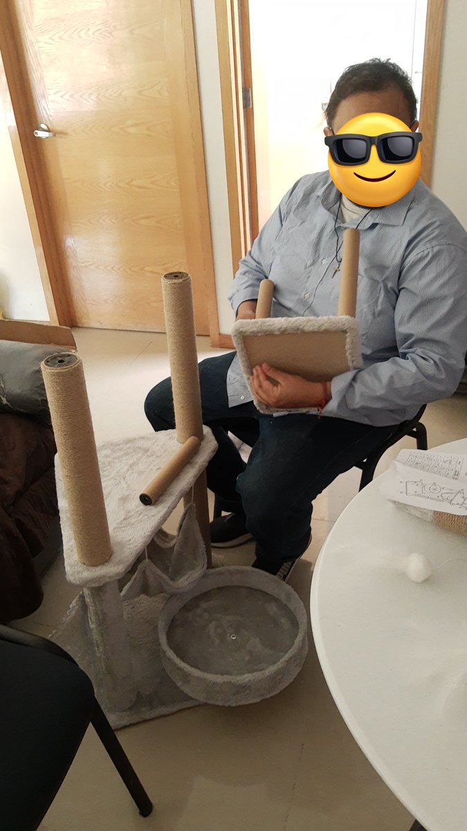 El novio se hizo bolas mientras armaba el arbolito de mis michis, que pasarán una temporada en nuestra casa.

Se disculpó con lxs michis diciendo: "Perdonen la tardanza, pero soy papá primerizo".

Yo me derretí de amor. ❣️