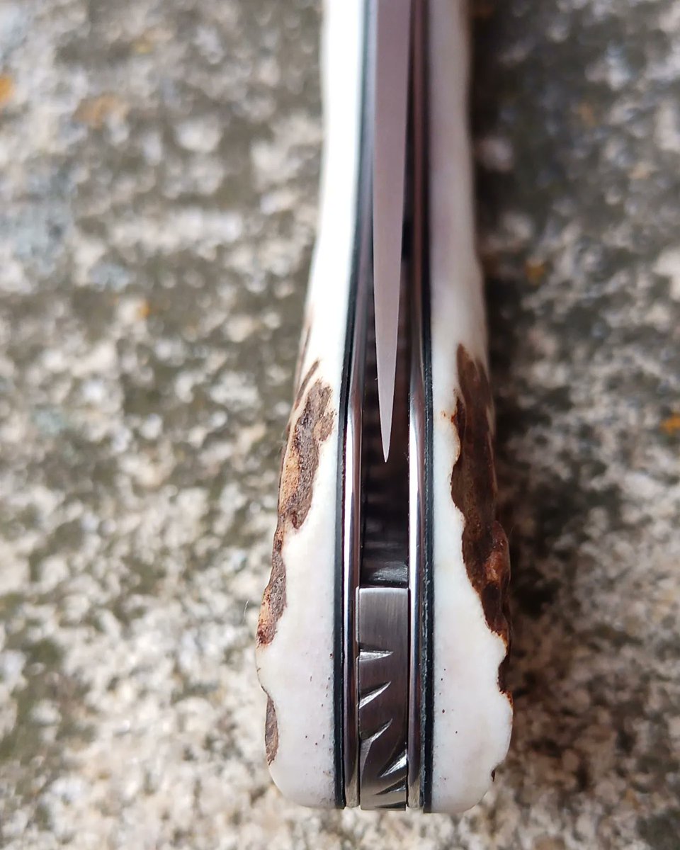 Couteaudumitou's tweet photo. Bonjour à tous
Voilà un couteau pliant Sionvillois cran carré.
Sa lame est en inox 14c28n
Son ressort est en z20 
Platines en inox
Son manche est en bois de cerf
Il mesure 19,5 cm pour 8 cm de lame
#madeinfrance #faitmain #coutellerie #artisanat #knifemaker #handmade https://t.co/2sSVtJHHPl