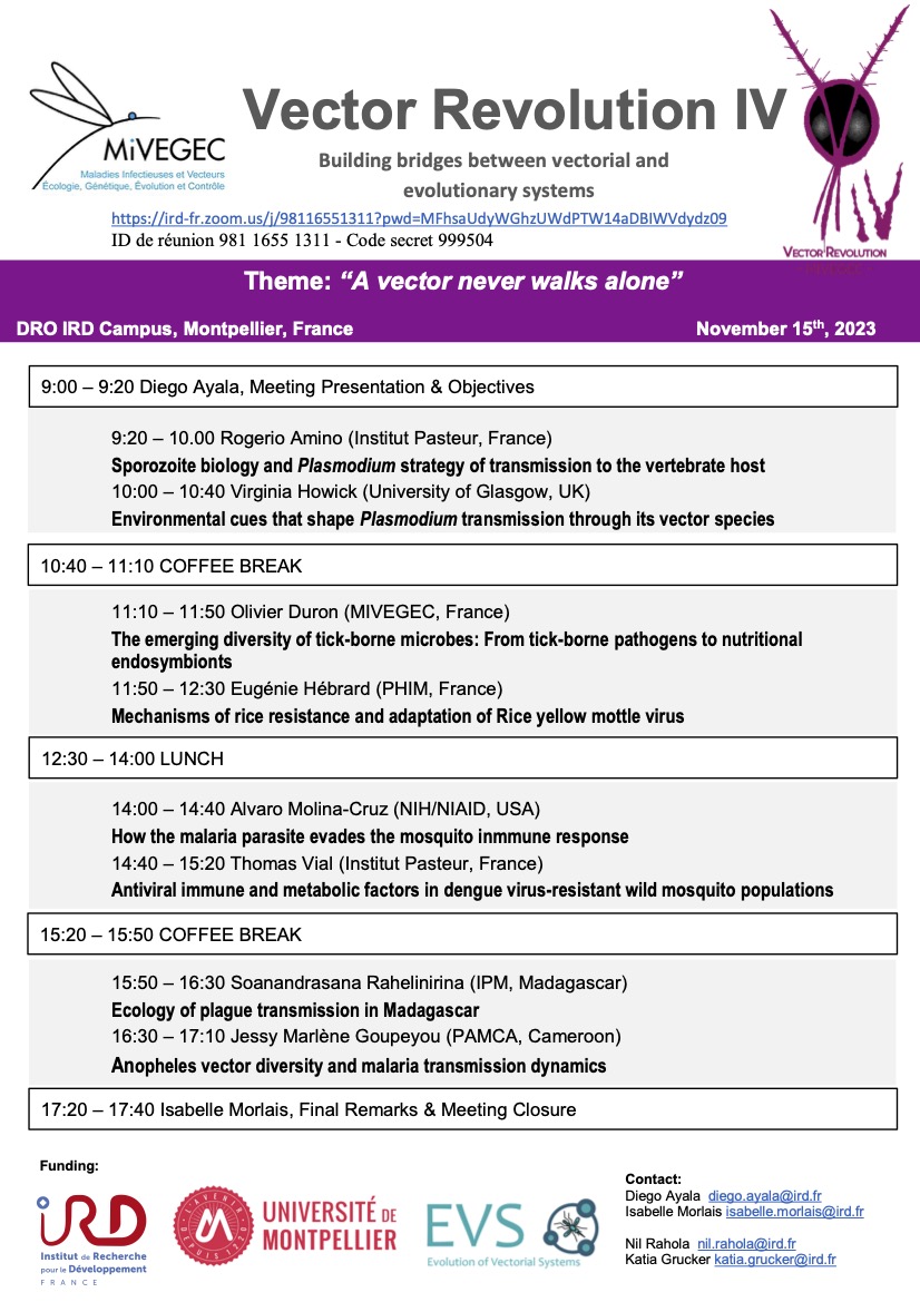 Diego Ayala tweet media