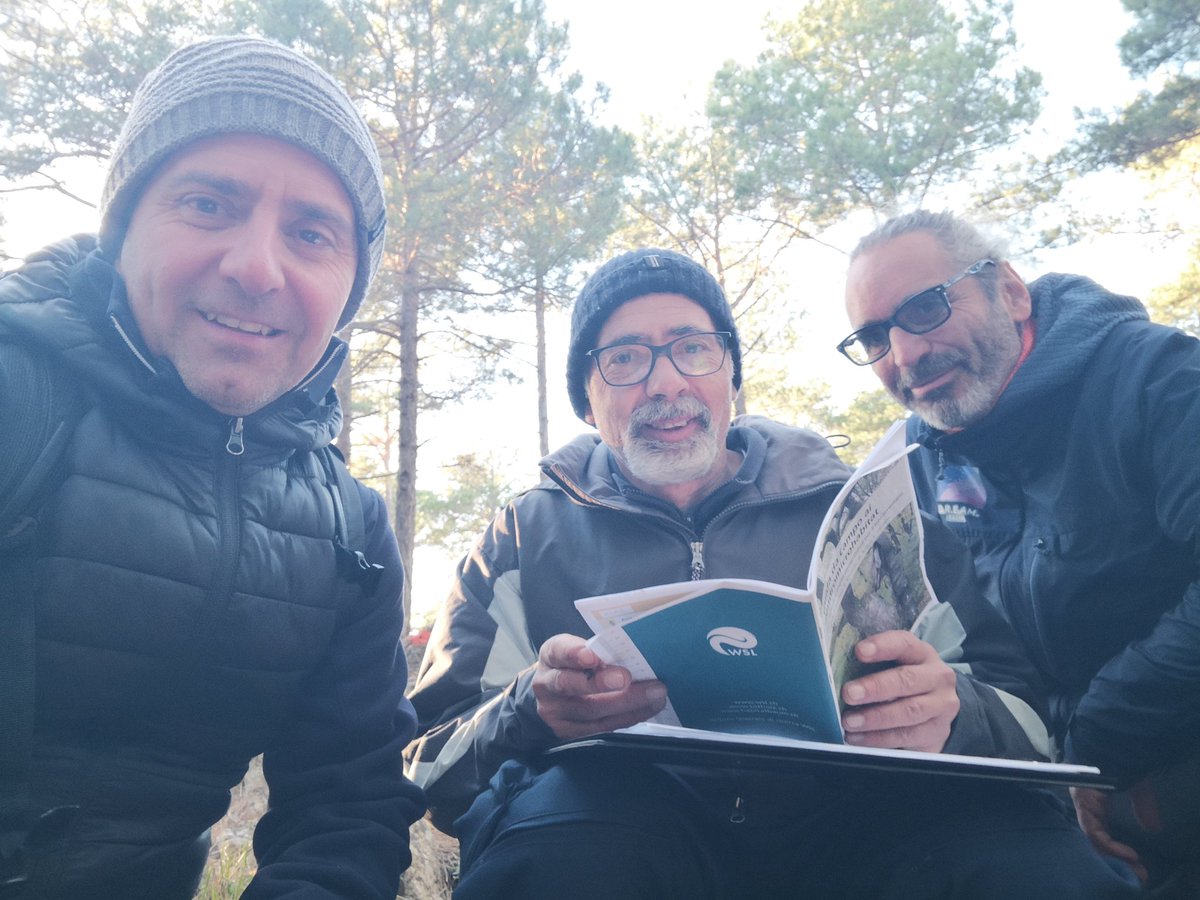 subarrallicu's tweet photo. Dendromicrohabitat monitoring for the @LIFEprogramme #GoProForMed, @DREAm_Italia_EU and @CNRsocial_ together in Spain!🇪🇸
Follow up for more! https://t.co/W5mI7FRiD6