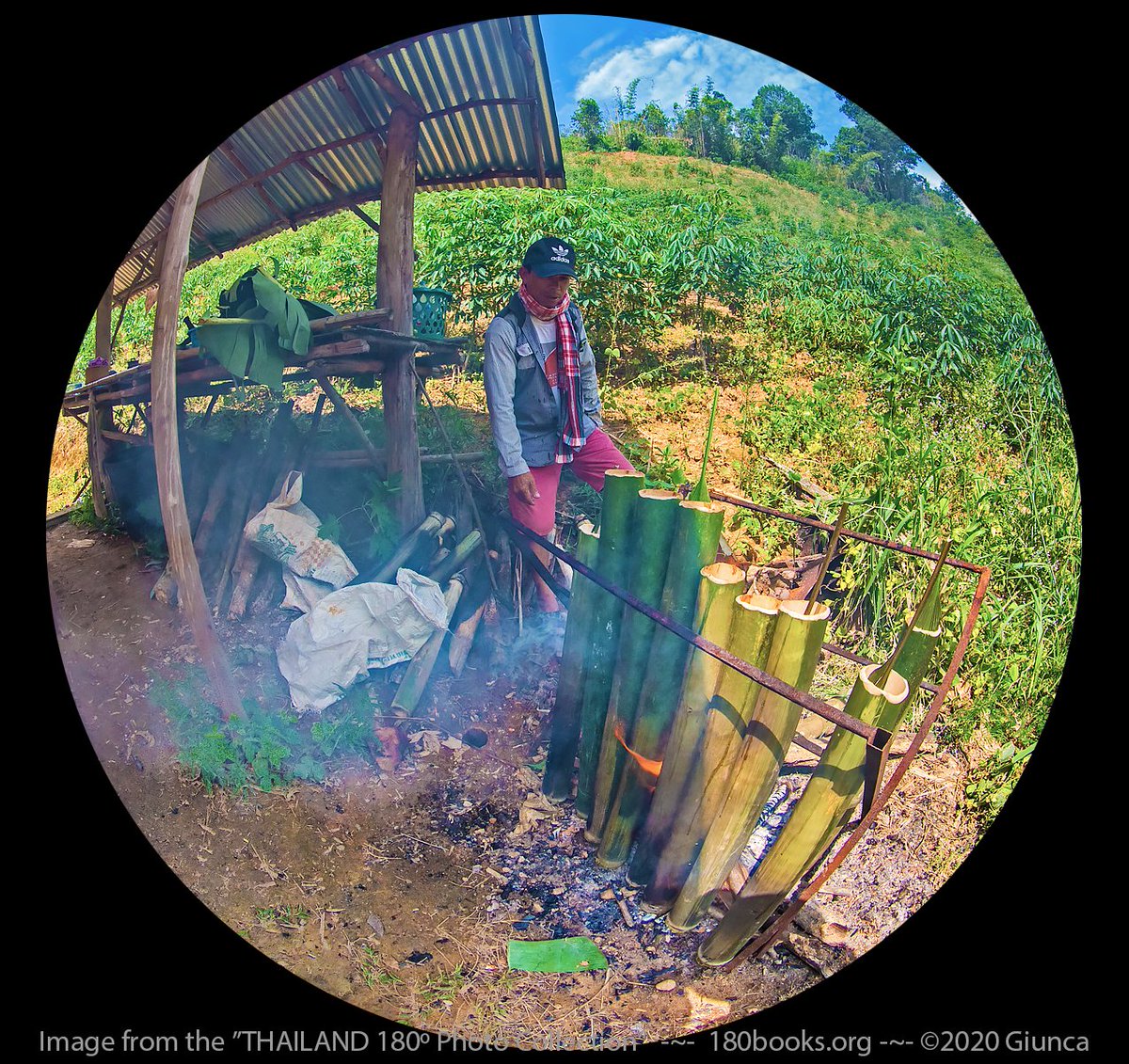 GeorgeGiunca180books🐠👀 180books.x NFT ETH AIArt tweet media