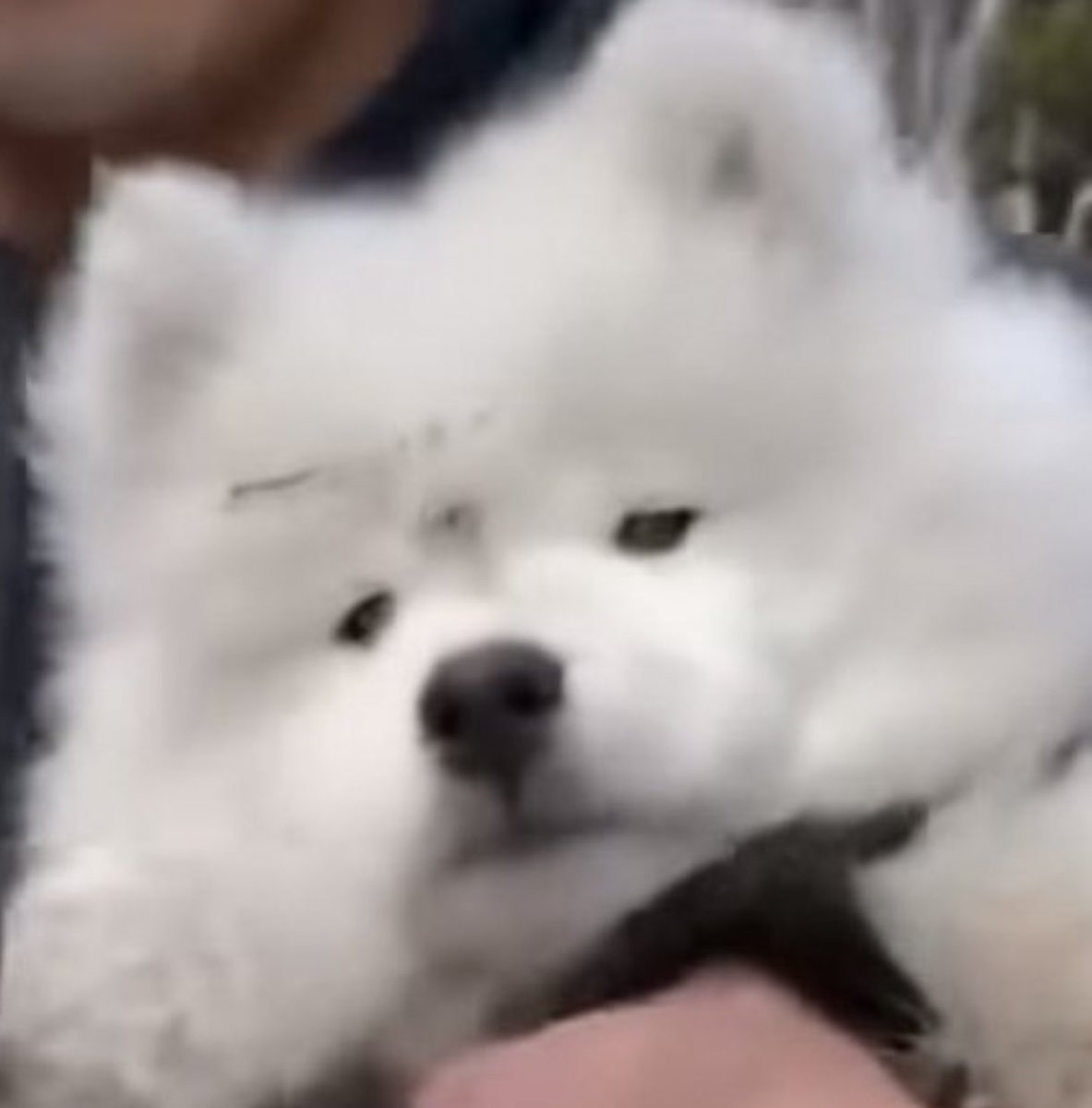 ไม่น่ารักตรงไหน อย่าให้รู้ว่าอยากอม