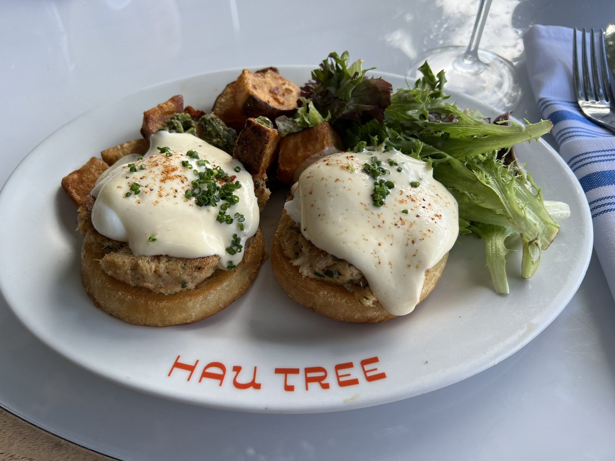 lattecappucino's tweet photo. 本日のブランチはHau Treeのエッグベネディクトでした
クラブケーキ(魚介類のメンチをソテーしたもの？)が美味でワインおかわりを我慢
至福のエッグベネディクトはハワイにて🏝️
#HauTree https://t.co/dG1IXr36w1