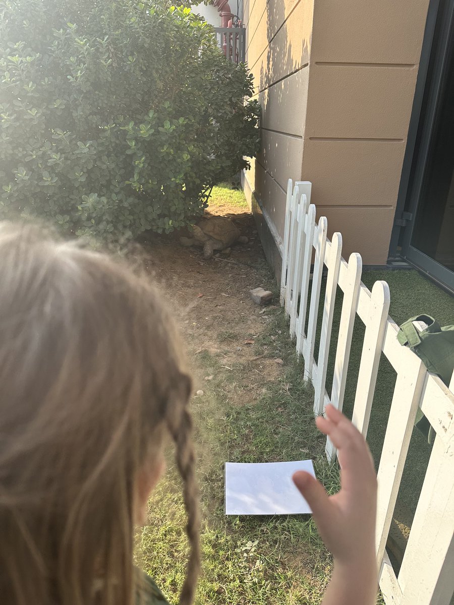 ArborFoundation's tweet photo. “I can see Darwin under the bush”
“The fish are under the water”
“The birds are on top of the trees”
We have been learning all about positional language this morning, using the spaces we have in school to talk about who and what we can see. 
#ButtercupClass
🌿🦜🐢 https://t.co/UZmGRvLzhe