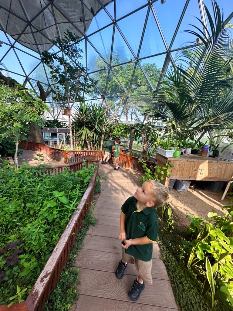 ArborFoundation's tweet photo. “I can see Darwin under the bush”
“The fish are under the water”
“The birds are on top of the trees”
We have been learning all about positional language this morning, using the spaces we have in school to talk about who and what we can see. 
#ButtercupClass
🌿🦜🐢 https://t.co/UZmGRvLzhe