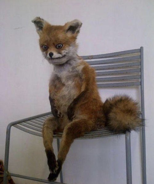 TechTalksGlobal's tweet image. Me after all the the crazy tech news week