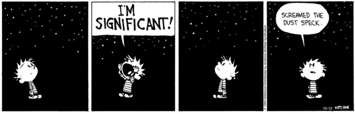 Calvin and Hobbes Fan Account tweet media