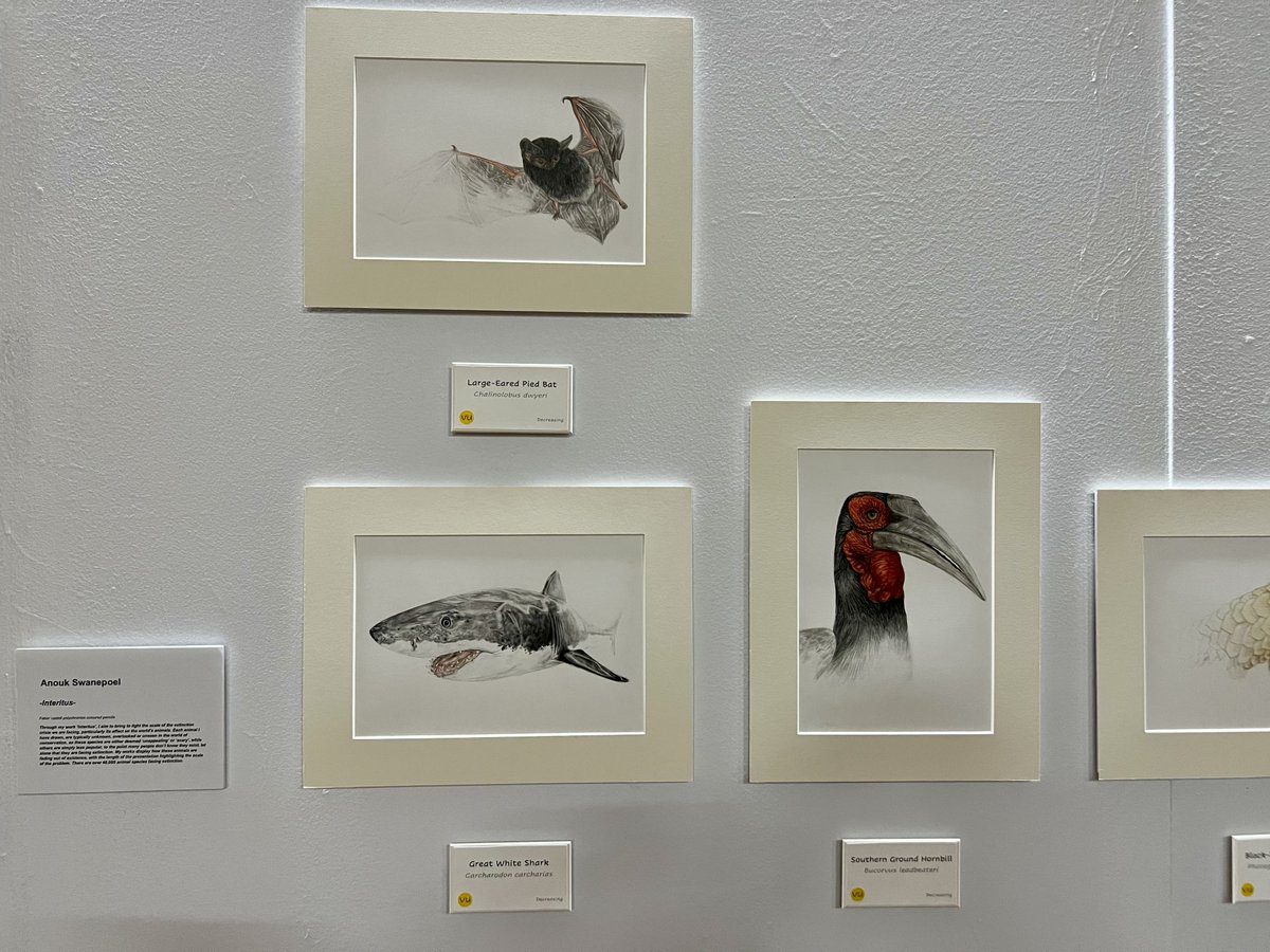 Glenaeon Rudolf Steiner School tweet media