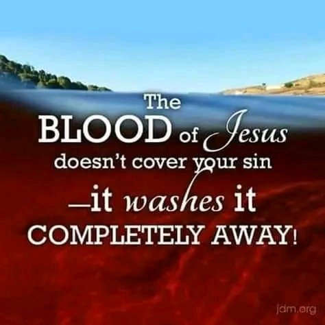 1 John 1:7 But if we are living in the light, as God is in the light, then we have fellowship with each other, and the blood of Jesus, his Son, cleanses us from all sin.